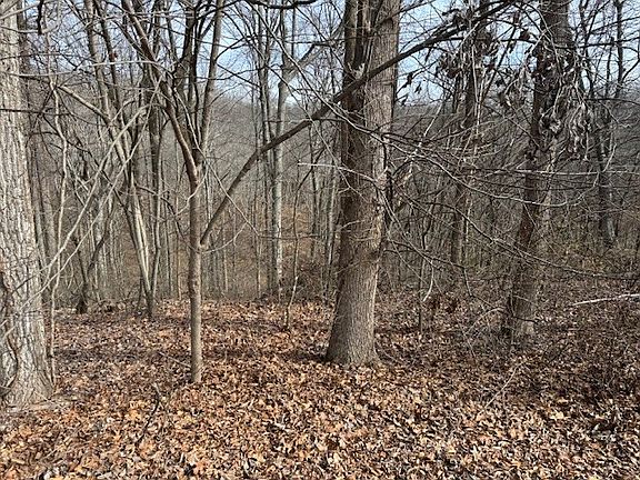 2nd image of 0 Wildwood St Lot 83