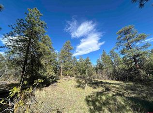 1333 Doc Adams Rd, Pagosa Springs, CO 81147