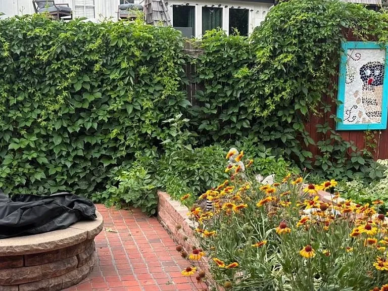 4301 S Alton Pl — Photo 18