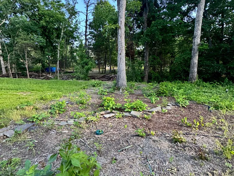 12385 Cold Stream Guard Ct — Photo 44