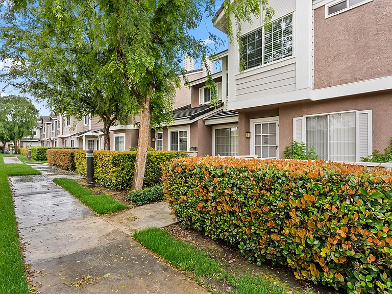 66 Christamon S — Photo 29