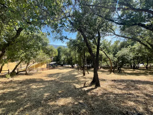 295 Mary Belle Way, Angels Camp, CA 95222