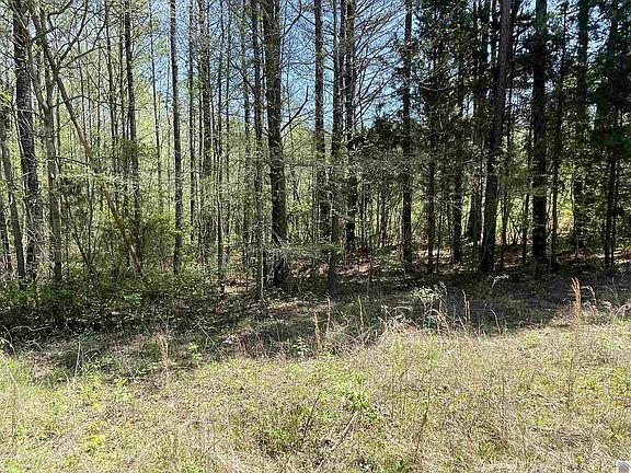 2nd image of Baywood Vista Dr #78