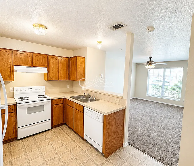 2710 Vernice Loop #B — Photo 2