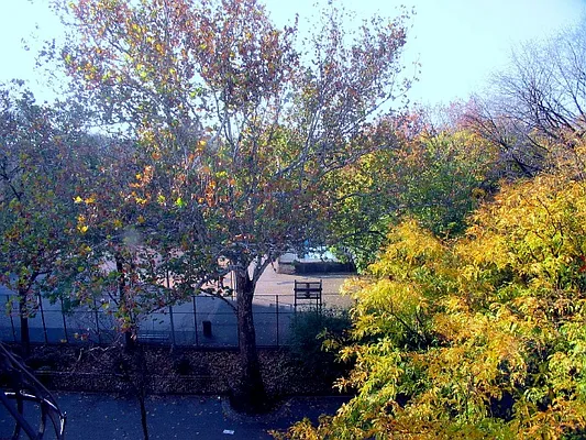 Rented by DSA Realty | media 31