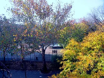 Rented by DSA Realty