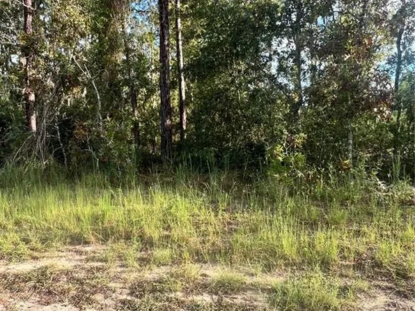 Hemlock Trl Lot 9, Ocala, FL 34472
