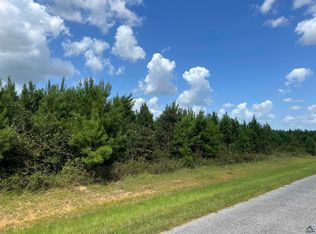 LOT 5 Whitfield Rd, Elko, GA 31025