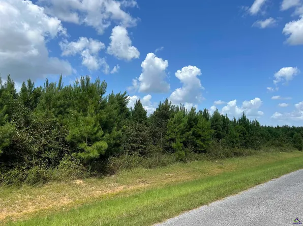LOT 5 Whitfield Rd, Elko, GA 31025