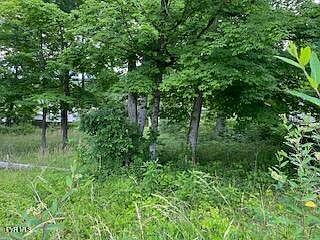 1st image of 47 Wild Rose Ln