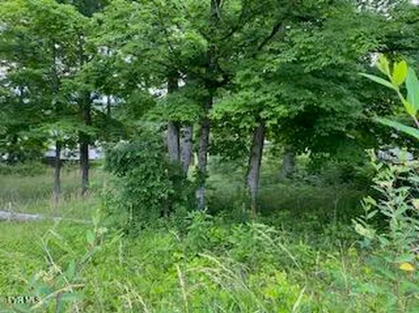 47 Wild Rose Ln, Johnson City, TN 37601