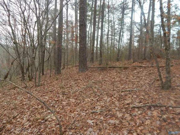 Us Highway 78 E, Leeds, AL 35094