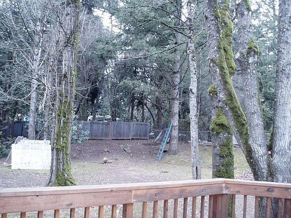 partial shot of back yard 