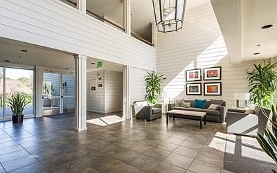 3rd image of 300 Murchison Dr APT 223