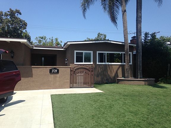 Astro Turf lawn-Queen Palms