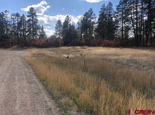 63-95 Freds Ct #107, Pagosa Springs, CO 81147