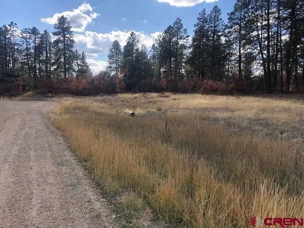 63,95,107,111 Fred's Court, Pagosa Springs, CO 81147