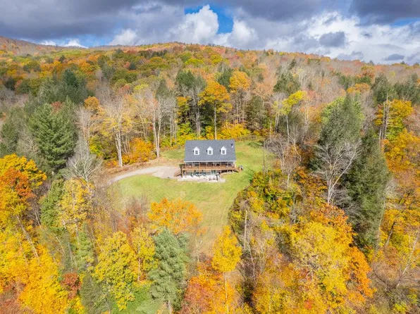 45 Campbell Mountain Rd Road, Downsville, NY 13755