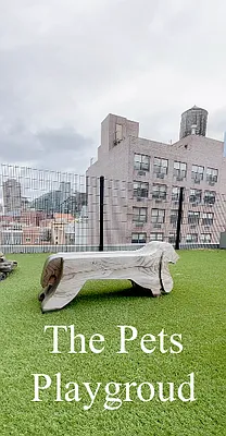 Rented by Valeo Realty Group LLC | media 17