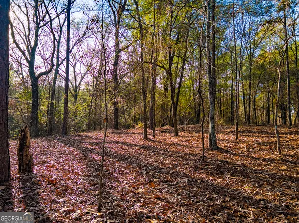 0 Roberta Hwy, Butler, GA 31006