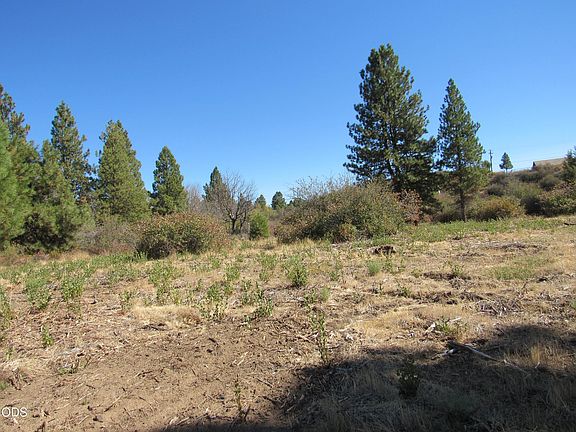 2nd image of 0 Forest View Dr