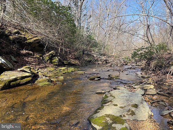 4th image of 0 Paynes Pond Rd