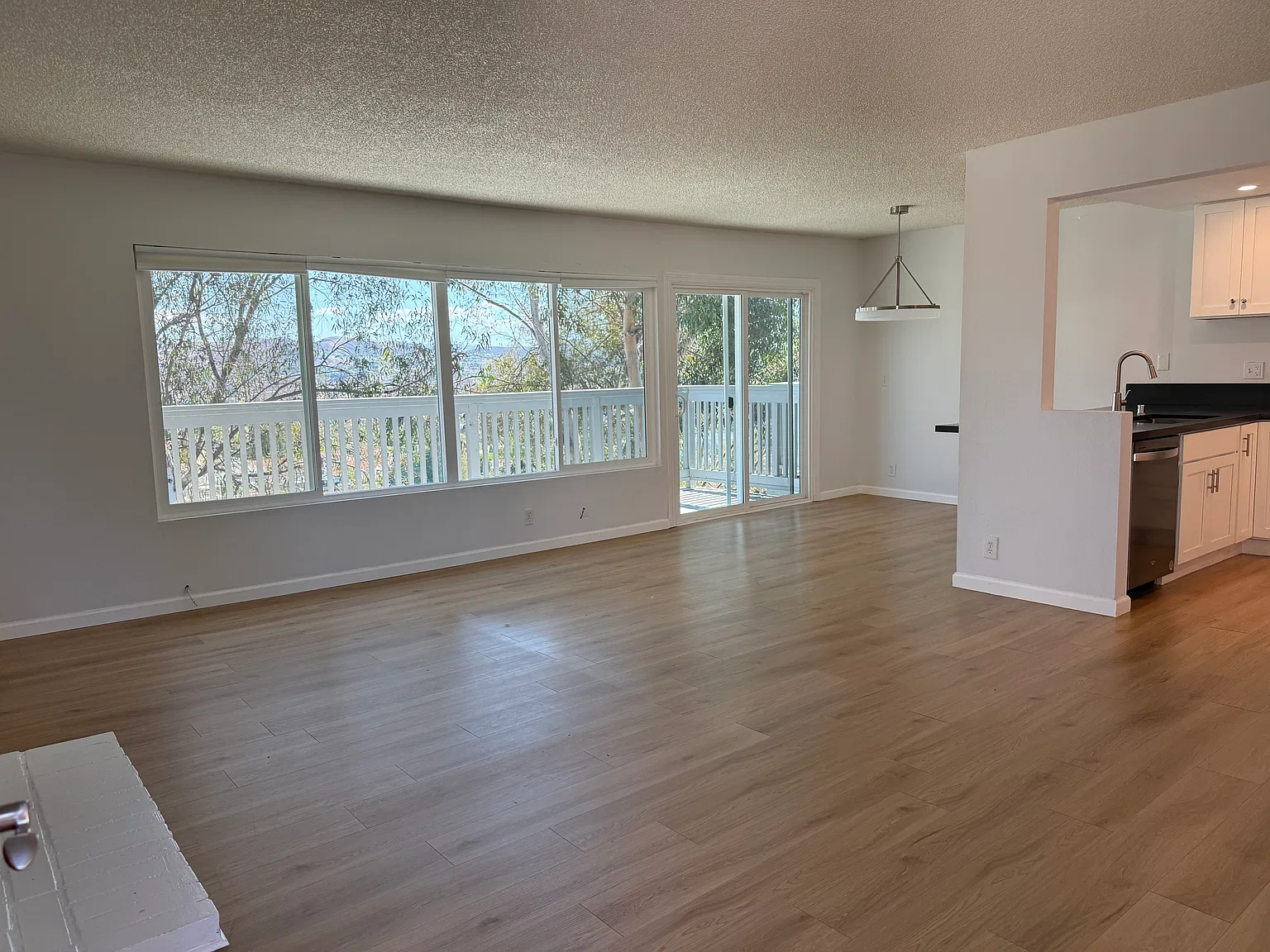 3 bed, 1350 sqft, $3,950 — Photo 3