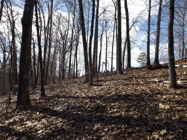 118 Summit Pne, Sunset, SC 29685