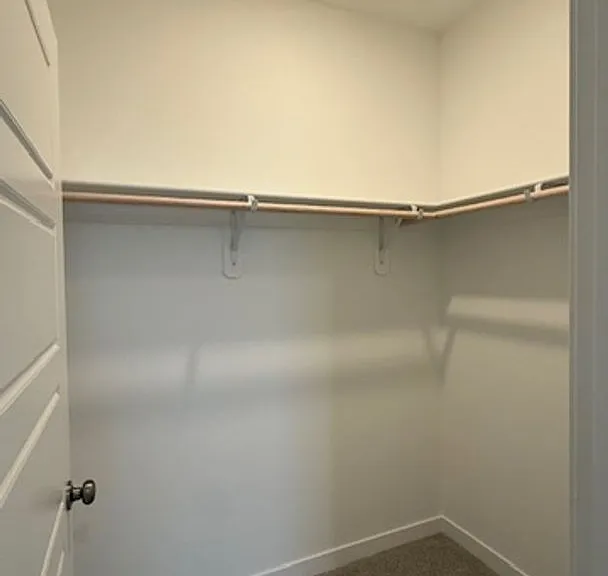 12505 Camino Glorieta — Photo 14