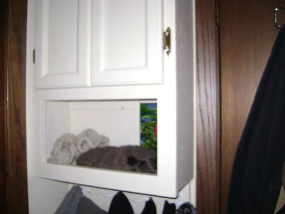 5th image of 157 W Sarnia St APT 1