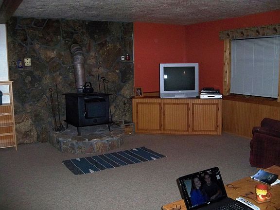 Family Room wood stove