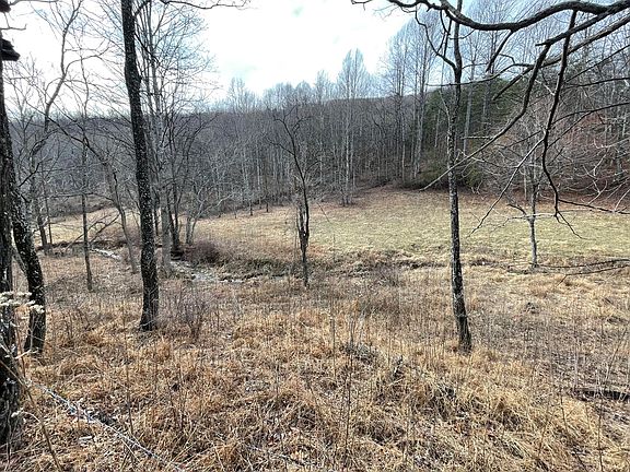 3rd image of 2399 Cool Springs Rd