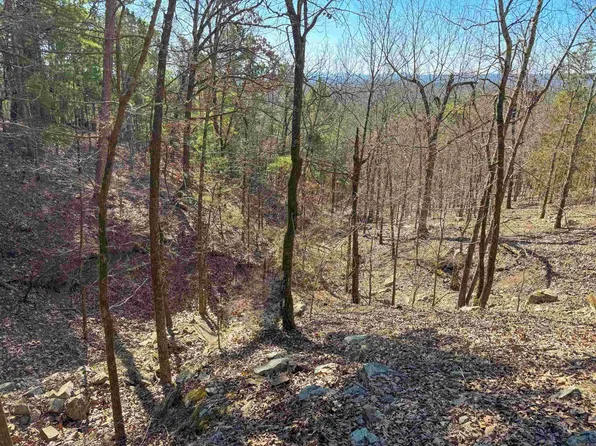 2 High Point Dr, Mayflower, AR 72106