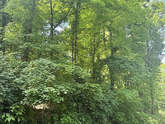 5th image of 616 Reads Lake Rd