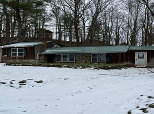 8810 Reddy Hollow Rd, Arkport, NY 14807