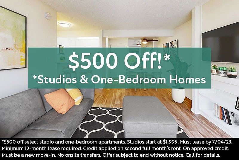 $500 Off Special!*