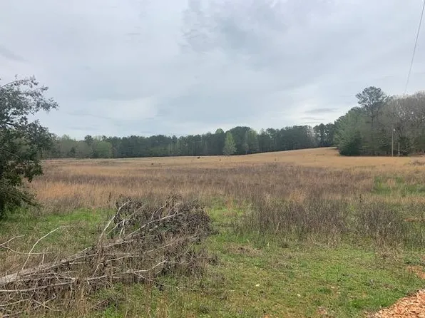 394 Hinkle Rd, Sardis, TN 38371
