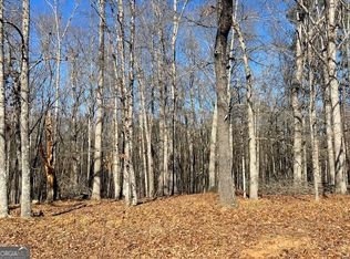 0 Chappell Rd LOT 2, Fayetteville, GA 30215