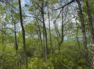 0 Cowee Mtn, Bryson City, NC 28713