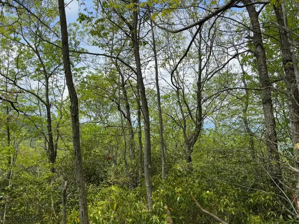 0 Cowee Mtn, Bryson City, NC 28713