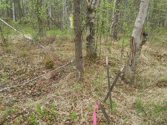 4th image of 18254 E Caswell Lakes Rd
