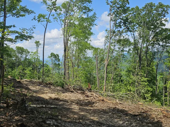 12 Higgenbottom Tpke, Altamont, TN 37301