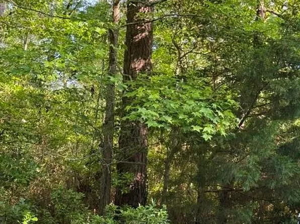 103 Emerson Court, Hampstead, NC 28443