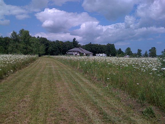 View of home from pond