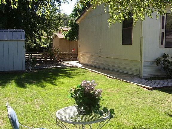 Back Yard Area