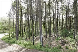 2nd image of 3001 Promenade Dr