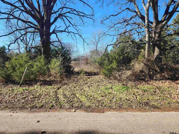 County Road 4950, Pittsburg, TX 75686