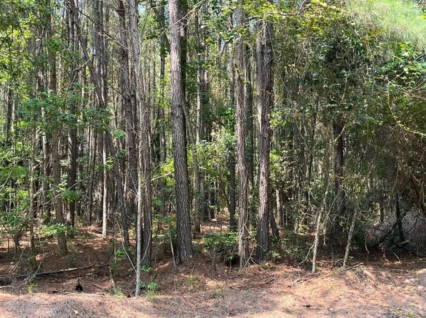 Round O Rd, Walterboro, SC 29488