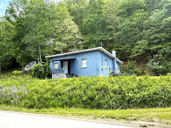 613 Everett Tibbs Rd, Marlinton, WV 24954