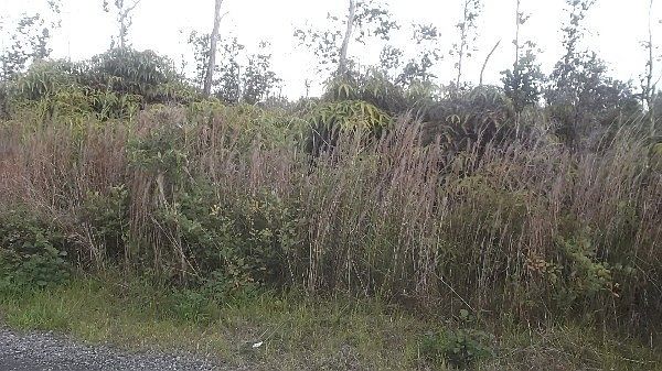 2nd image of 11-2149 Ohialani Rd #4